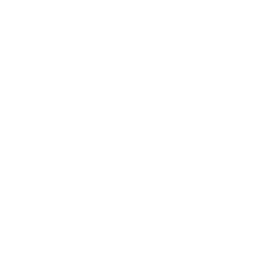 roof icon
