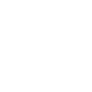garage icon