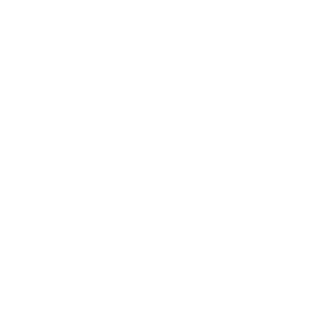 home icon
