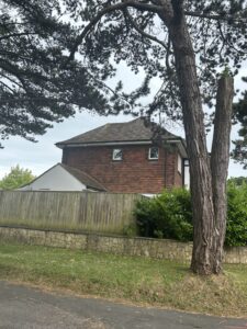View from the road of the side of a detached house, partly obscured by a large tree, garden bush and wooden fence.